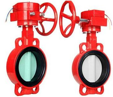 ����������̖���y